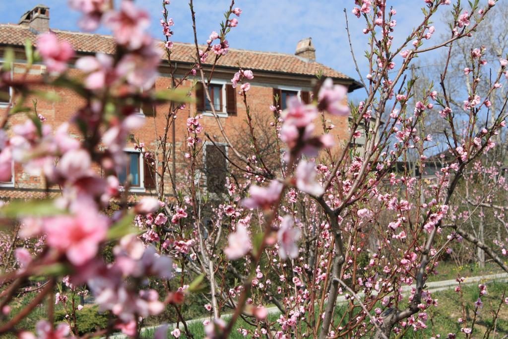 B&B Di Spineto Villaromagnano Экстерьер фото